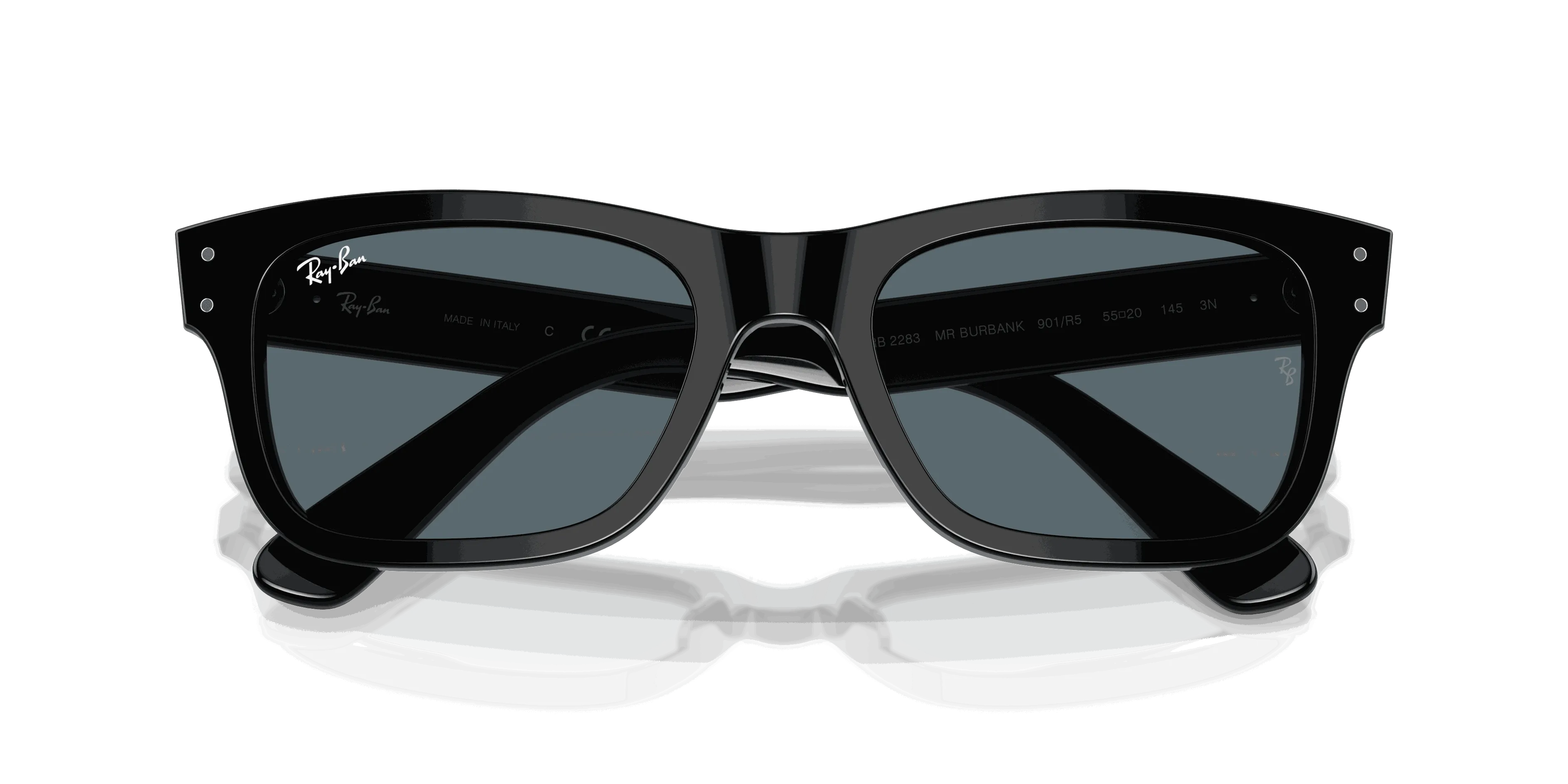 RayBan BURBANK