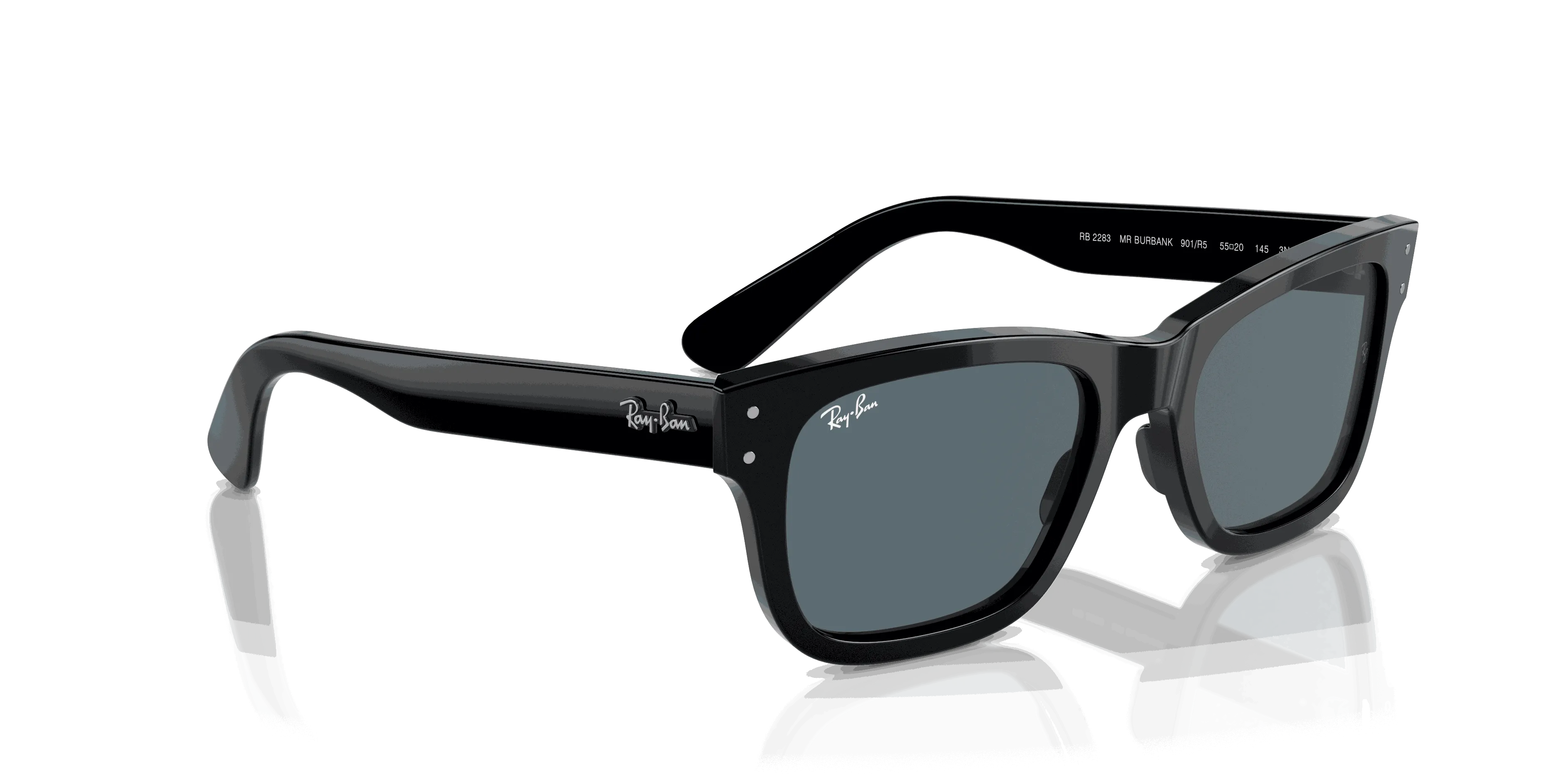 RayBan BURBANK