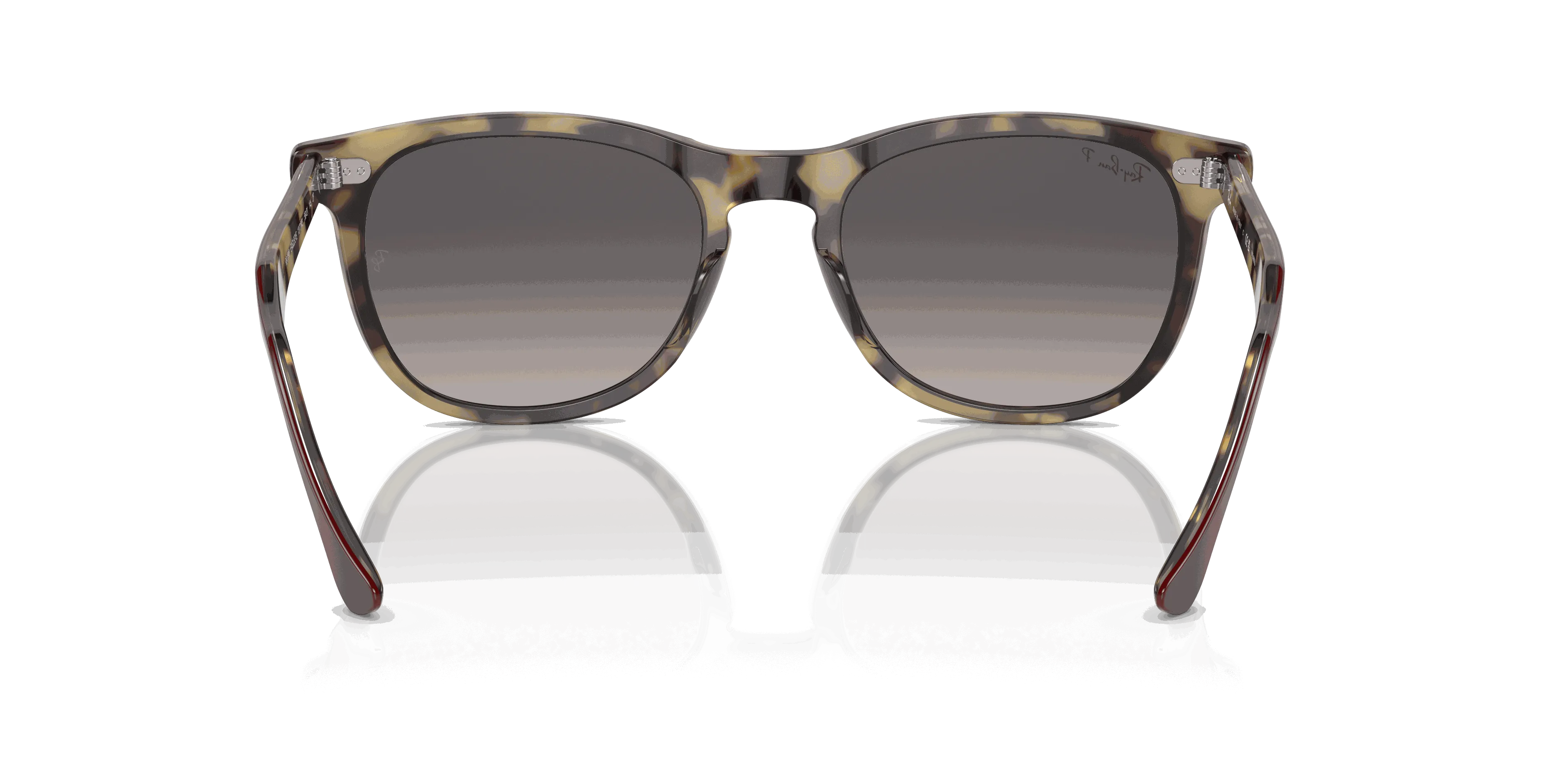 RayBan EAGLE EYE
