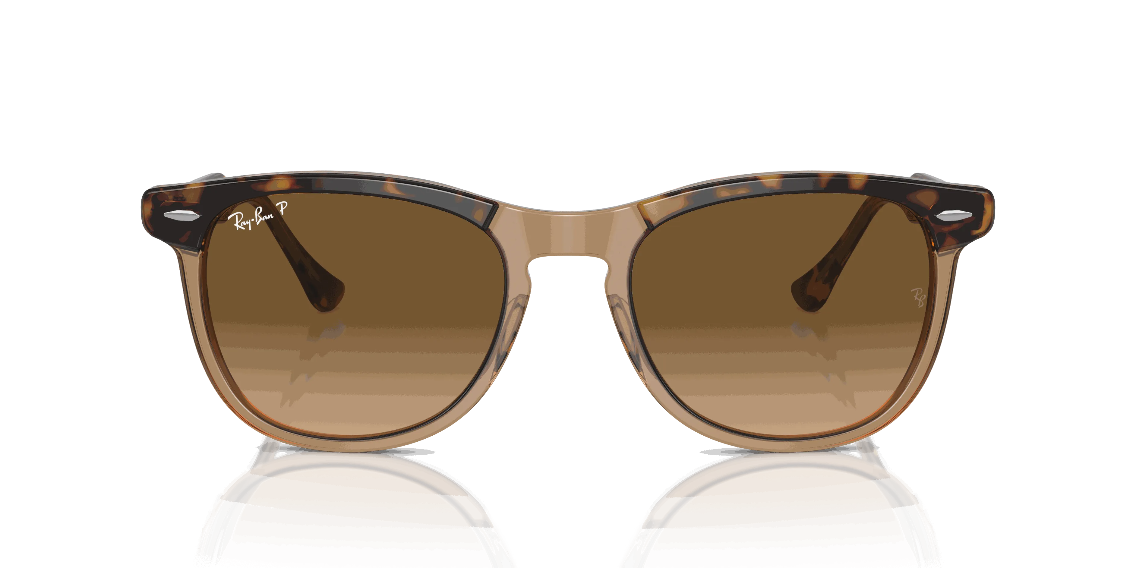 RayBan EAGLE EYE