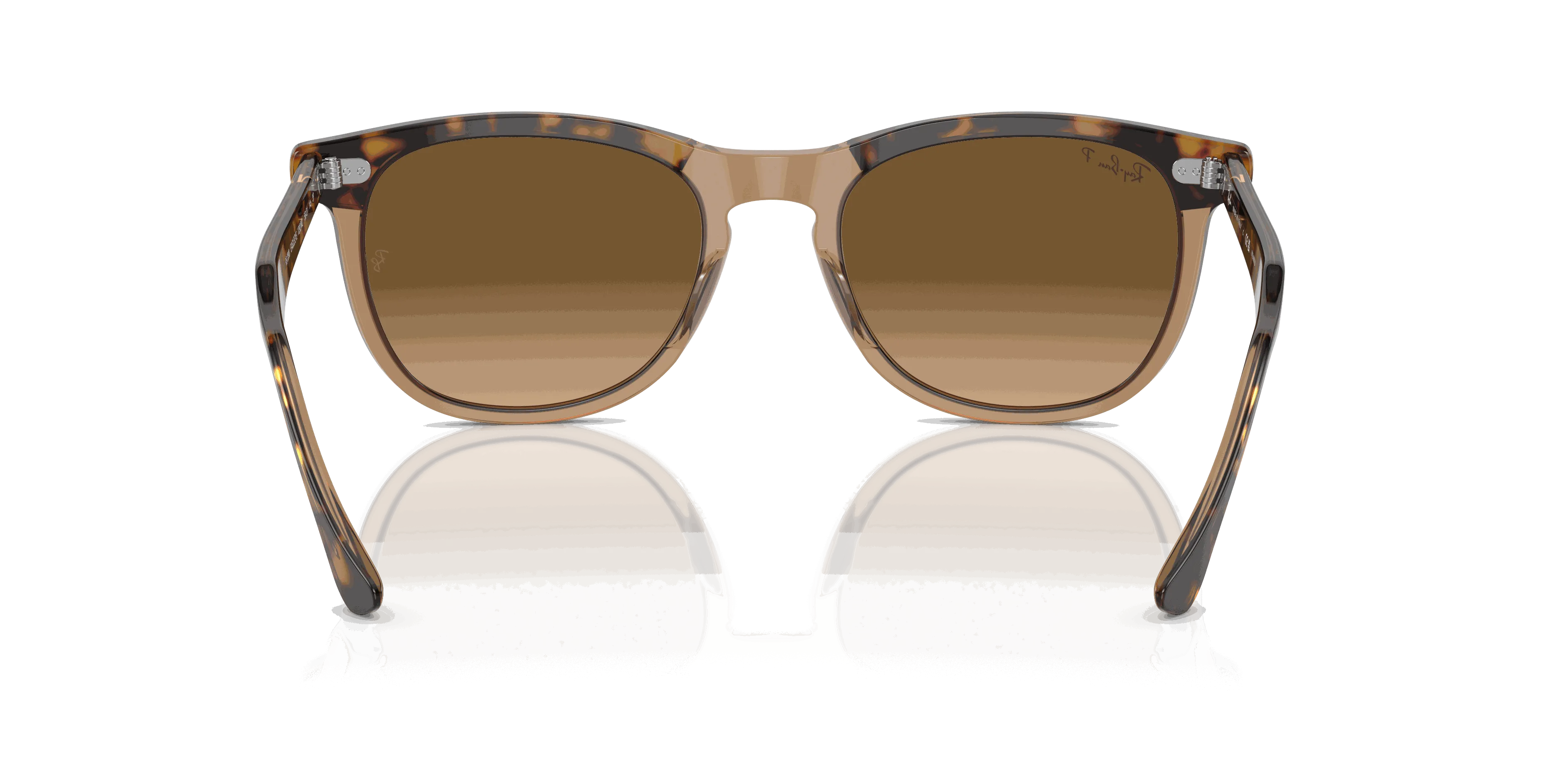RayBan EAGLE EYE