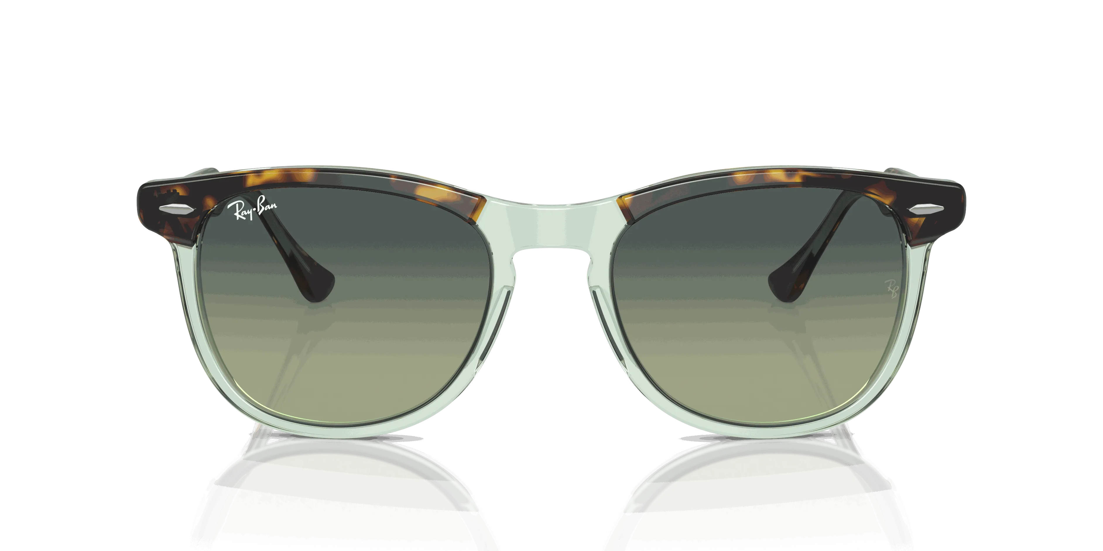 RayBan EAGLE EYE