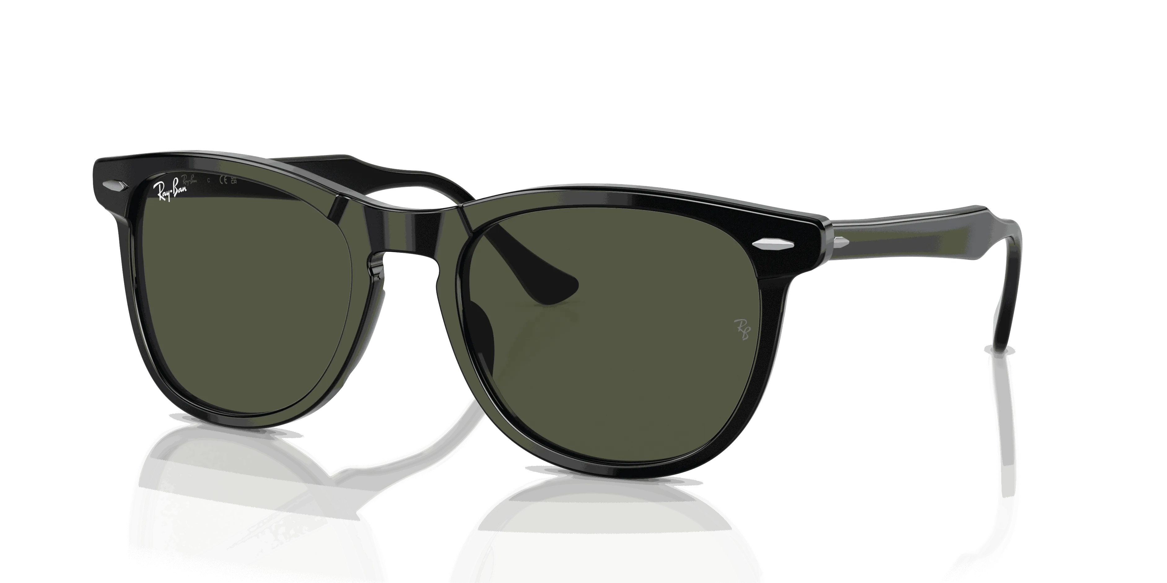 RayBan EAGLE EYE