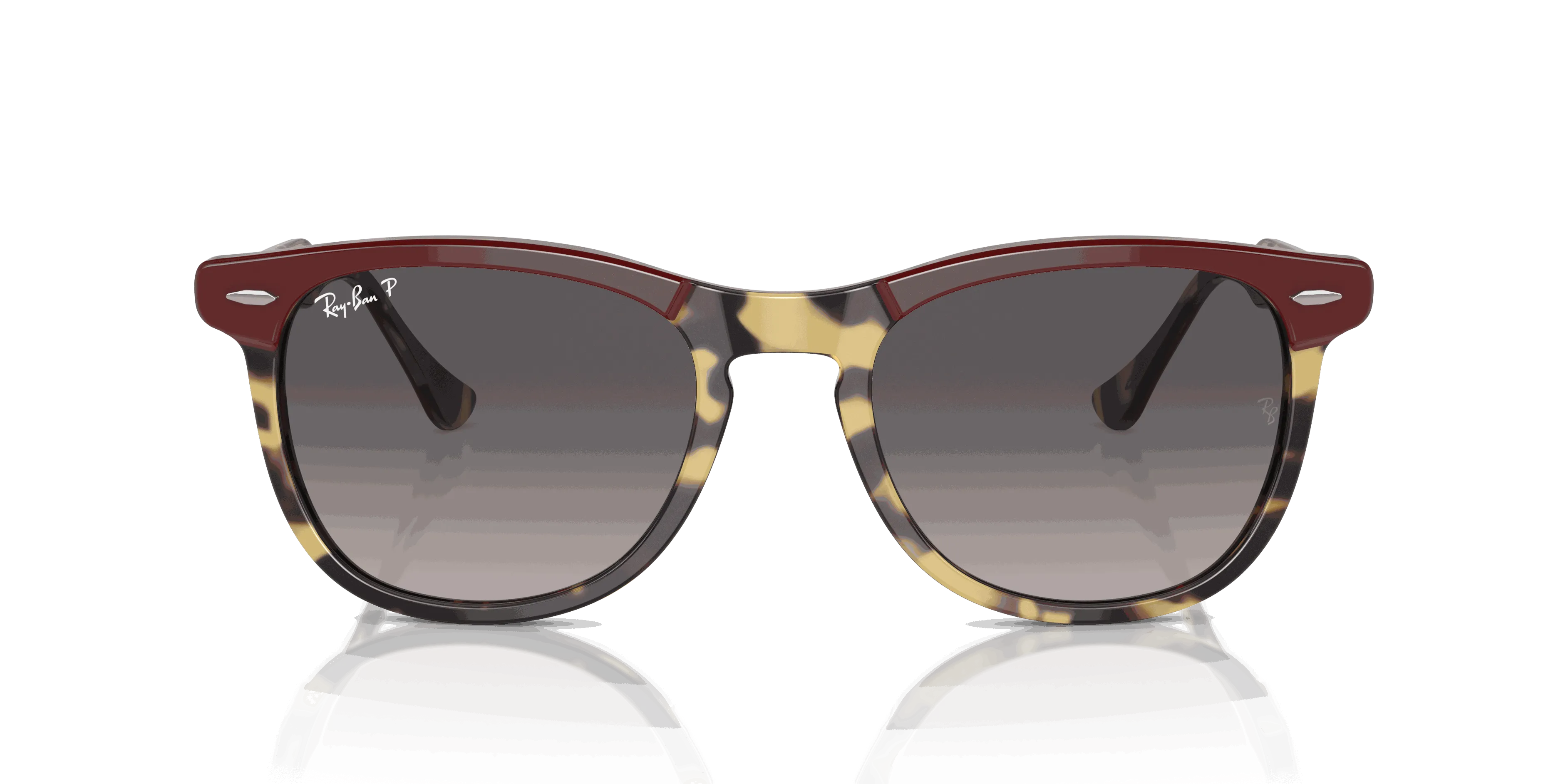 RayBan EAGLE EYE