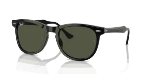 RayBan EAGLE EYE