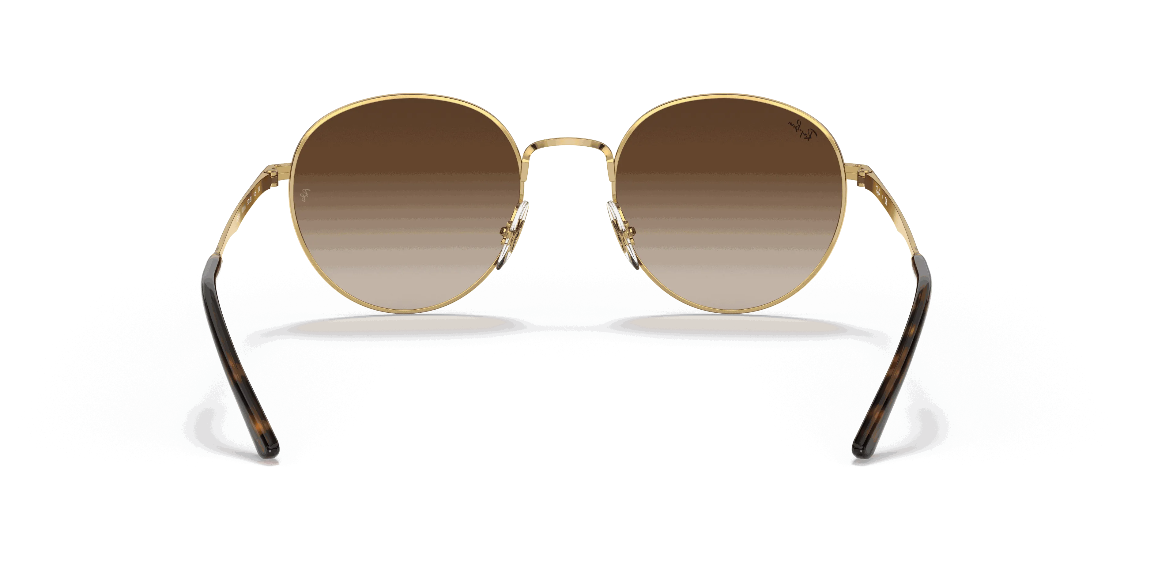 RayBan RB3681