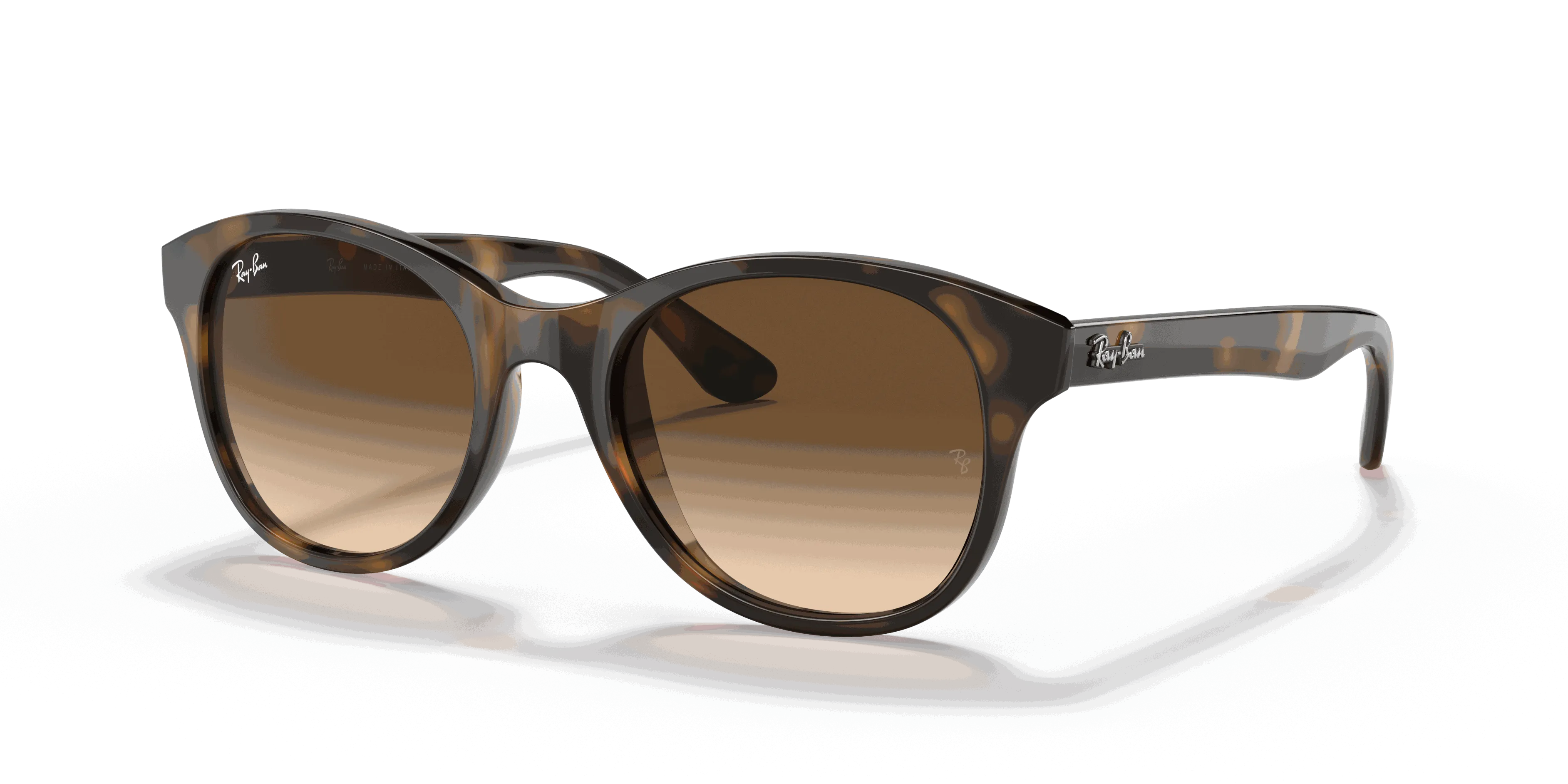RayBan RB4203
