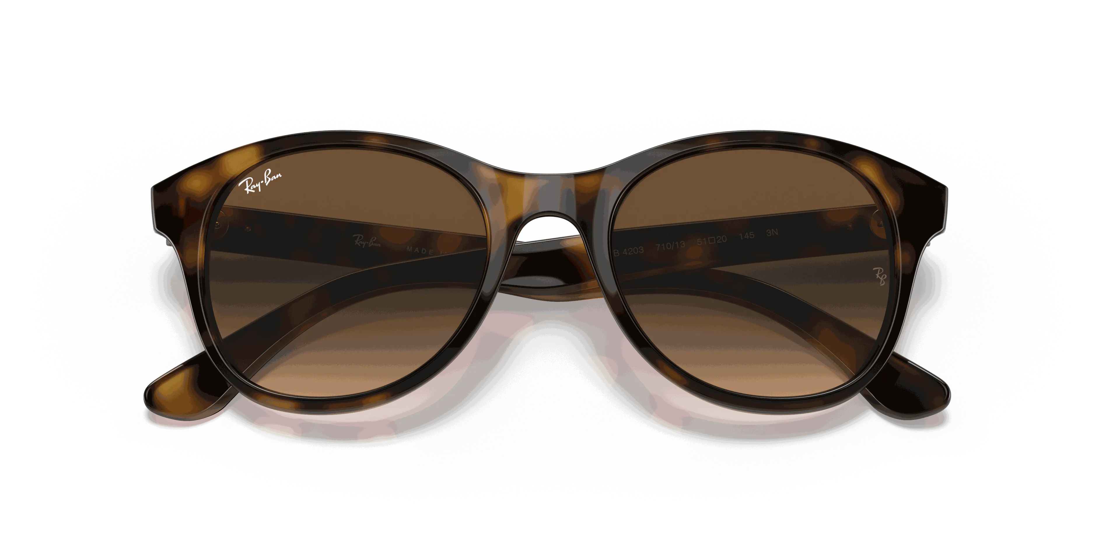 RayBan RB4203