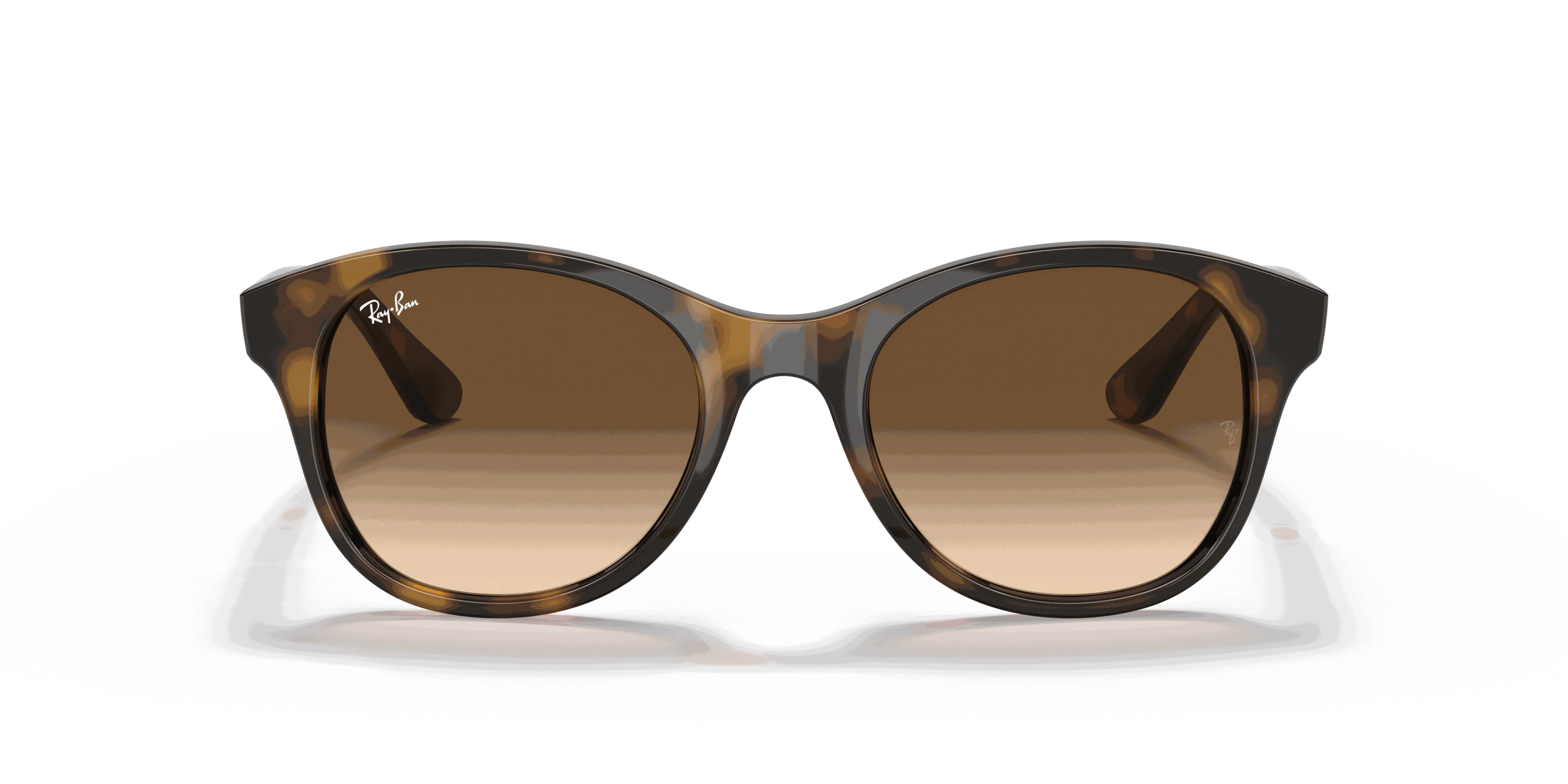 RayBan RB4203