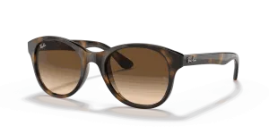 RayBan RB4203
