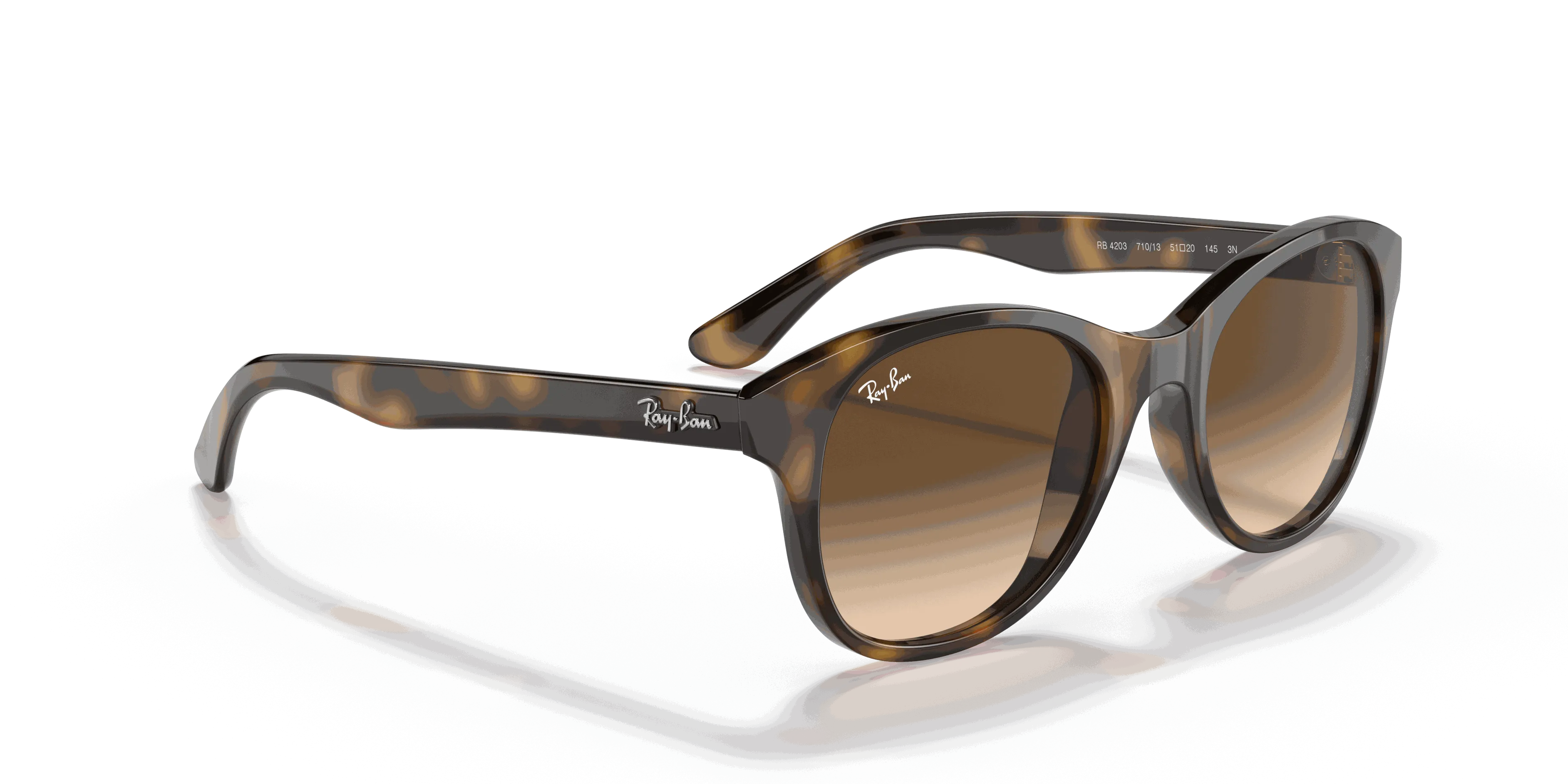 RayBan RB4203