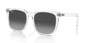RayBan RB4401D