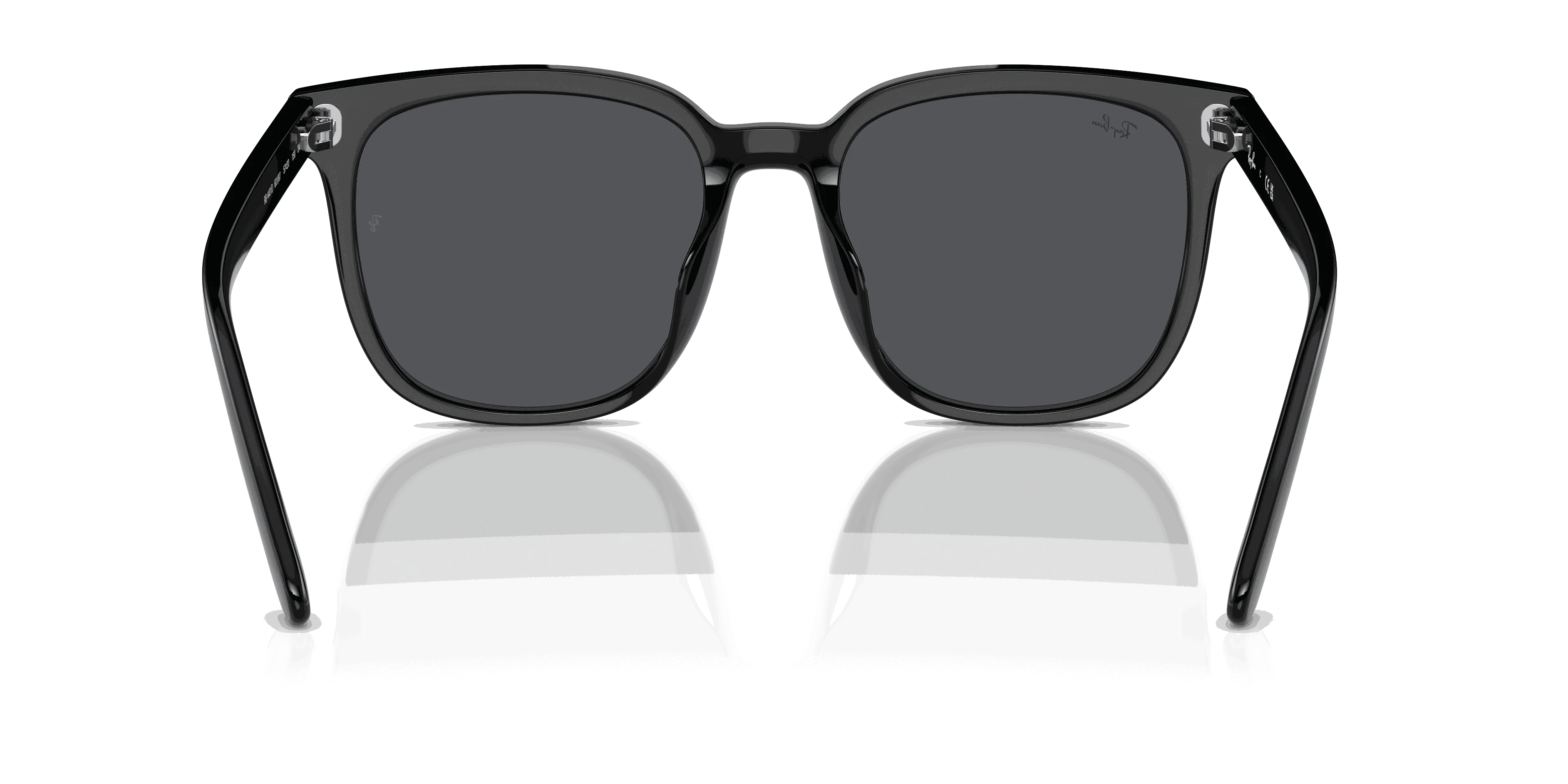 RayBan RB4401D