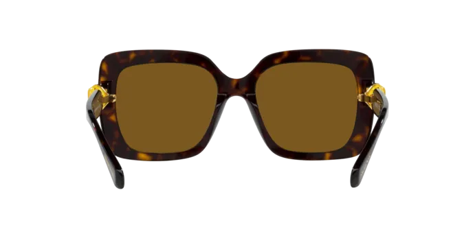 Swarovski SK6001 100283