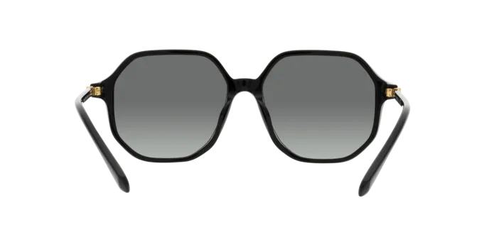 Swarovski SK6003 100111