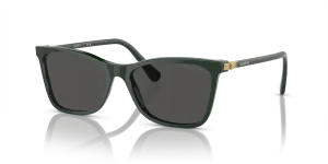 Swarovski SK6004 102687