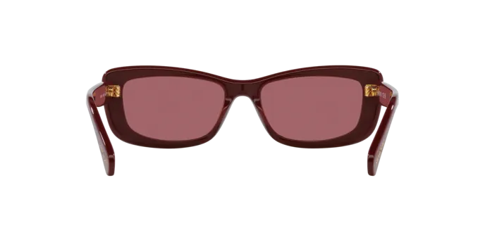 Swarovski SK6008 100869