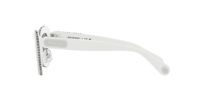 Swarovski SK6012 1012/1