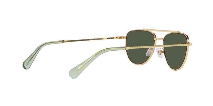 Swarovski SK7007 401782